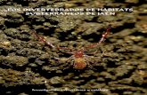 LOS INVERTEBRADOS DE HÁBITATS SUBTERRÁNEOS DE JAÉNimedea.uib-csic.es/damiajaume/DamiaJaumewebpage_archivos... · 2018-05-17 · Los invertebrados estigobios más frecuentes en