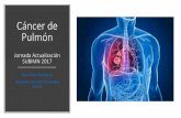 Cáncer de Pulmón · Cáncer de Pulmón Jornada Actualización SUBIMN 2017 Dra. Clara Rodriguez Asistente Servicio Oncología Clínica