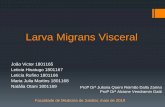 Larva Migrans Visceral - WordPress.comLarva Migrans Visceral João Victor 1801165 Leticia Hisatugo 1801167 Leticia Rufino 1801166 Maria Julia Martins 1801168 Natália Otani 1801169