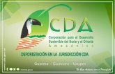 Vaupés - Corporación para el Desarrollo Sostenible del ... · “Elimpacto en deforestación de la extracción de minerales en Colombia, puede ser directo por la remoción de la