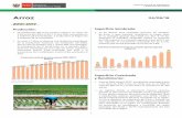   2001-2017siea.minagri.gob.pe/siea/sites/default/files/Informe-coyuntura-arroz-280818_0.pdfsituación, el crecimiento acumulado del rendimiento de la producción del arroz en cáscara