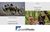 arte fotografía educación cultura - MontPhoto MontPhoto 2019.pdf · actividades son fechas obligadas en mi agenda.” ... fotográfico y servicios Talleres y actividades Muestras