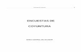 ENCUESTAS DE COYUNTURA - contenido.bce.fin.eccontenido.bce.fin.ec/documentos/PublicacionesNotas/... · Encuestas de Coyuntura PRESENTACIÓN El Banco Central del Ecuador a través