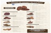 Afiche Fomento CacaoQ › wp-content › uploads › 2019 › 04 › ... ·  · 2019-04-05.tt'þg- Title: Afiche Fomento CacaoQ Created Date: 2/21/2017 11:11:46 AM