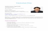 Curriculum Vitae - iopb.res.insanjib/Agarwalla-CV.pdf · Dr. Atanu Maulik, mini-DINO Dark Matter Project, April, 2014 to February, 2015 Dr. Arnab Dasgupta, May 2015 to May 2017 Dr.