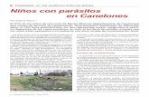 Niños con parásitos en Canelones - Uruguay Ciencia · 2014-11-24 · la tricocefalosis, con deficiencias cognitivas que se ex-presan en bajo rendimiento escolar. (1) El problema