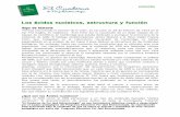 Los ácidos nucleicos, estructura y funciónporquebiotecnologia.com.ar/Cuadernos/El_Cuaderno_32.pdf · 2019-03-03 · ribonucleótidos (del ARN) la pentosa es la D-ribosa, en los