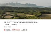 Mapping sector agroalimentari a Catalunya · MAPPING SECTOR AGROALIMENTARI A CATALUNYA 5 1. SECTOR AGROALIMENTARI A CATALUNYA 1.1. Cadena de valor. Asso ci acionsvinculades l se ctor