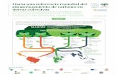 Hacia una referencia mundial del almacenamiento de carbono en …rightsandresources.org/wp-content/uploads/2016/11/Resume... · 2019-12-20 · relacionados con el carbono. Los pueblos