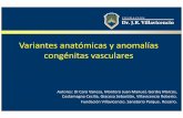 Variantes anatómicas y anomalías congénitas vasculares · Imagen 1 y 2: TCMS con contraste EV, corte axial y coronal. Anomalía del cayado aórtico. Presenta una incidencia de