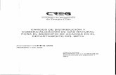 CARGOS DE DISTRIBUCIÓN Y COMERCIALIZACIÓN DE GAS NATURAL PARA EL MUNICIPIO DE ...apolo.creg.gov.co/Publicac.nsf... · 2014-10-20 · CARGOS DE DISTRIBUCIÓN Y COMERCIALIZACIÓN