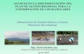 Presentación de PowerPointcpps.dyndns.info/.../AVANCES_ECUADOR.pdf · El Ecuador posee 147228,60 ha de manglar \⠀䌀䰀䤀刀匀䔀一Ⰰ ㈀ 㘀尩3. El 99,8 % de esta superficie