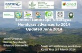 Sentinel Landscape Nicaragua- Honduras advances to 2014 ... · The Nicaragua-Honduras Sentinel Landscape is a long transect from the highly agricultural area in highland Matagalpa,