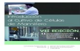 Introducción al Cultivo de Células de Mamíferosct.uab.cat/.../files/vii_edicion_introduccion_al_cultivo_celular.pdf · - El cultivo celular como alternativa a la experimentación
