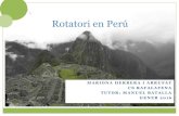 Rotatori en Perú - WordPress.com · Modelo de atención integral de salud (MAIS) ... Alcalde-Rabanal JE, Lazo-González O, Nigenda G. Sistema de salud de Perú. Salud Publica Mex