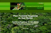 Plan Forestal Regional de San Martín - Gob · “San Martín es la región amazónica cuyas actividades socio-económicas-ambi t l tá d d lbientales están ordenadas y el patrimonio