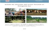Estado de situación del sector forestal en Patagonia Sursipas.inta.gob.ar/modulos/info-estrategica... · La actividad forestal en la región Patagonia Sur (Chubut, Santa Cruz y Tierra