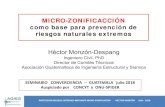 Héctor Monzón-Despang - UN-SPIDER AGIES H Monzon a...PROTECCIÓN RIESGOS EXTREMOS MEDIANTE MICRO-ZONIFICACIÓN HÉCTOR MONZÓN JUlio 2018 MICRO-ZONIFICACCIÓN como base para prevención
