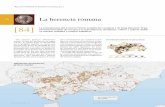 [84] · Las principales ciudades de la época romana se sitúan sobre el eje del Guadalquivir y sus inmediatas campiñas. A destacar la densísima presencia de villae en el Alto Guadalqui-vir