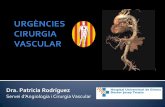 Dra. Patricia RodríguezEmbolia (Cardíaca): AC x FA, valvulopatia, IAM previ Trombosi (Arterial): trombosi d’artèria nativa, trombosi d’injert, trombosi d’aneurisma 20-30%
