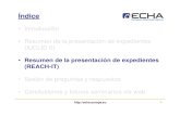 Resumen de la presentación de expedientes (REACH-IT)echa.europa.eu/documents/10162/13566/overview... · 3 Resumen de la presentación de expedientes 1. Introducción: REACH-IT 2.
