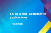 SIG en la Web : Componentes y aplicaciones · 2018-04-03 · Implementando una plataforma GIS en su organización Profesionales SIG Relevamiento de Datos en Campo Conocimiento Operacional