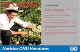 Desafios ONU Honduras octubre 2010 - undp.org · 1,000 familias organizadas en 20 empresas productoras y comercializadoras de semillas de granos básicos (maíz, frijol, arroz y sorgo)