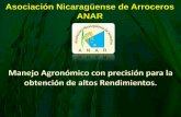 Asociación Nicaragüense de Arroceros ANAR...0.00 0.50 1.00 1.50 2.00 2.50 3.00 3.50 4.00 4.50 5.00 5.50 0 15 30 45 60 75 90 105 120 135 150 165 180 195 210 225 Arroz de Riego Area