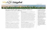 No se olvide del Zinc cuando aplique Fósforo en sus cultivoses.microessentials.com/pdf/estadisticas/MC_1112_Ag... · actividad de las micorrizas. • Bajos niveles de Zn en los análisis