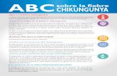 ABC sobre la fiebre CHIKUNGUNYA - Fraponfrapon.org/documentos/Sanidad/abc disan chikungunya copia.pdf · No hay vacuna contra el virus del chikungunya. El tratamiento se concentra