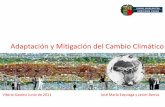 Adaptación y Mitigación del Cambio Climático · 2011-09-06 · Prof. J.Mª Ezquiaga ADAPTACIÓN Y MITIGACIÓN DEL CAMBIO CLIMÁTICO Cuantificación de emisiones El trabajo se ha