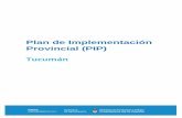 Plan de Implementación Provincial (PIP) · además de los indicadores analizados más arriba, las zonas productivas de acuerdo a la ubicación de las actividades priorizadas en cada