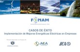 CASOS DE ÉXITO - Fondo Nacional del Ambiente · 2017-06-26 · CASOS DE ÉXITO . Implementación de Mejoras Energéticas Eléctricas en Empresas . Proyecto financiado con el apoyo