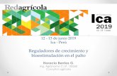Reguladores de crecimiento y bioestimulación en el palto · 2019-07-01 · 12 - 13 de junio 2019 Ica - Perú Reguladores de crecimiento y bioestimulación en el palto Horacio Berrios