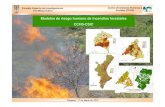 Modelos de riesgo humano de incendios forestales CCHS-CSIC · 2010-04-20 · Consejo Superior de Investigaciones Científicas (CSIC) Zaragoza, 17 de Marzode 2010 Centro de Ciencias