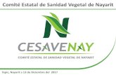 Comité Estatal de Sanidad Vegetal de Nayaritcesavenay.org.mx/wp-content/uploads/2017/12/MAS... · actual (oferta y demandada nacional e internacional) Conservar y aumentar la oferta