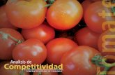 ANTECEDENTES - Gobierno del Estado de Chihuahua · La producción de tomate en el estado de Chihuahua, se concentra básicamente en la región de Casas Grandes, Delicias, Cuauhtémoc,
