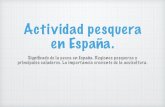 Actividad pesquera en España. - WordPress.com€¦ · Actividad pesquera en España. Signiﬁcado de la pesca en España. Regiones pesqueras y principales caladeros. La importancia