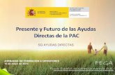 AYUDAS DIRECTAS DE LA POLÍTICA AGRARIA COMÚNaniade.es/aniade/wp-content/uploads/2019/05/... · • Disposiciones horizontales: agricultor activo, actividad agraria y reducción