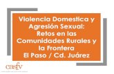 VIOLENCIA DOMESTICA Y ASALTO SEXUAL: RETOS EN LAS ...taasaconference.org/wp-content/uploads/2017/07/... · Frontera El Paso/ Cd. Juárez Fiscalía Especializada de la Mujer. Cd. Juárez,