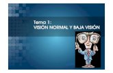 Tema 1: VISIÓN NORMAL Y BAJA VISIÓN · 2020-06-07 · Tema 1 -Visión normal y baja visión Bastones Conos Encargados de la visión en malas condiciones de luz (visión escotópica)