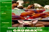 CRECEN MEJOR CRECEN MAS CON · GRUMAXTM es un producto destinado a nutrición animal que se utiliza como fuente de sodio libre de cloruros y sulfuros, que tiene una función irremplazable