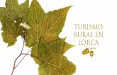 TURISMO RURAL EN lorca - Oficina de Turismo de Lorca Turismo Rural en Lorca.pdf · Coy, los trajes populares, la Jarra de Novia, objetos de alfarería, cestería, esparto o los muebles