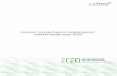 Informe Consejo/Experto independiente emisión bonos junio 2019 · 2020-05-29 · -1-informe que emite el consejo de administraciÓn de cellnex telecom, s.a. con fecha 20 de junio