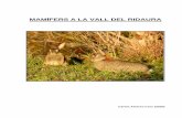 MAMÍFERS A LA VALL DEL RIDAURAfers/RECULL DE MAMÍFERS DE LA … · MAMÍFERS A LA VALL DEL RIDAURA Carlos Alvarez-Cros (2019) 2/17 INTRODUCCIÓ Aquest és un recull de les espècies