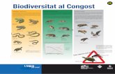 5B Biodiversitat al Congostcabanyes.museugranollersciencies.org/pdf/Biodiversitat-mamifers-i... · PETITS MAMÍFERS Al llarg del període d’estudi (2005-2011) s’han fet 10 campanyes