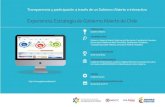 Estrategia de Gobierno Abierto de Chile · Gobierno Abierto, el portal de datos abiertos, el portal de transparencia gubernamental, software de transparencia para municipios e instituciones,