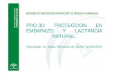 PRO-30: PROTECCIÓN EN EMBARAZO Y LACTANCIA NATURAL.€¦ · embarazo y/o lactancia natural, y un listado de puestos incluido en ANEXO VII y VIII. Máxima coordinación entre la UPRL