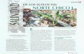 biblioteca.inia.clbiblioteca.inia.cl/medios/biblioteca/ta/NR25770.pdf · Huasco, Elqui, Limarí y Choapa. En el caso del valle del río Copiapó, la mayor parte del agua de riego