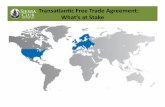 Ilana TTIP Presentation · !!!!+2@1$-2A(2&D!?#%&’12’/0(!:(@(0-EA(2&!>F’E&($! Environment Obligations in Recent US FTAs Environment Chapter: 1) Commitments to not waive or weaken